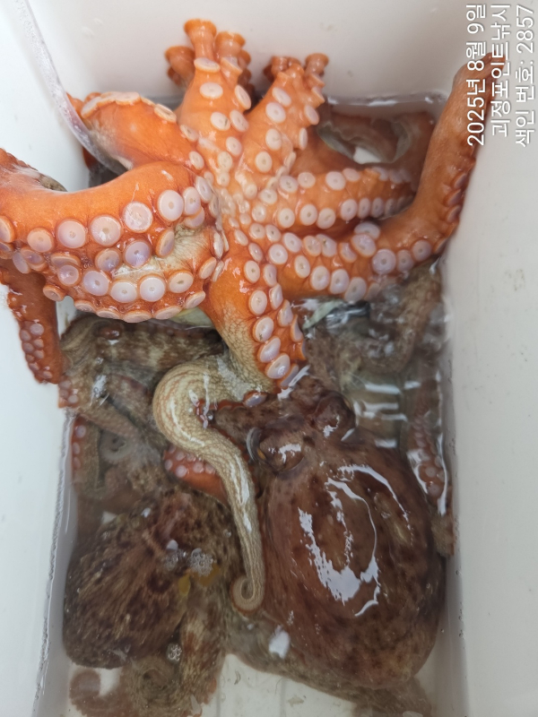 KakaoTalk_20250810_120346045_10.jpg