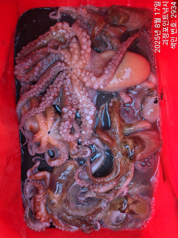 KakaoTalk_20250817_153504962_09.jpg