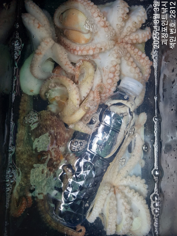 KakaoTalk_20250804_091318422_08.jpg