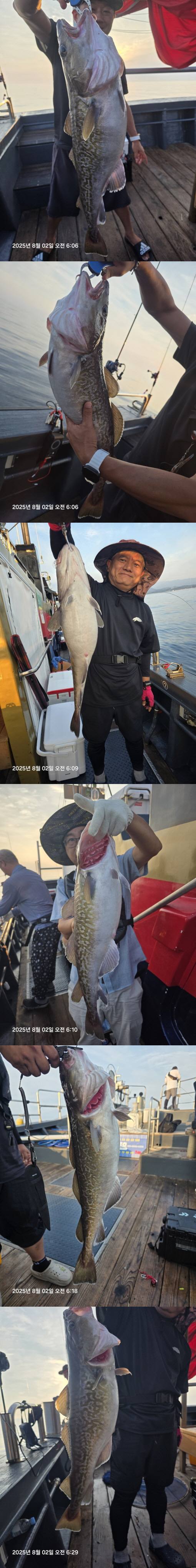 사진1.jpg