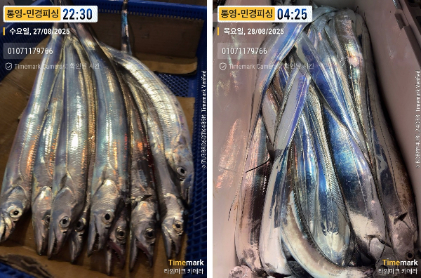 이미지.jpeg