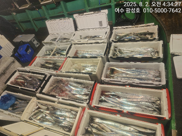 KakaoTalk_20250802_072714062_07.jpg