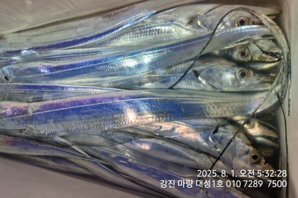 c88db8e22e01566d331937354add69e5.jpg