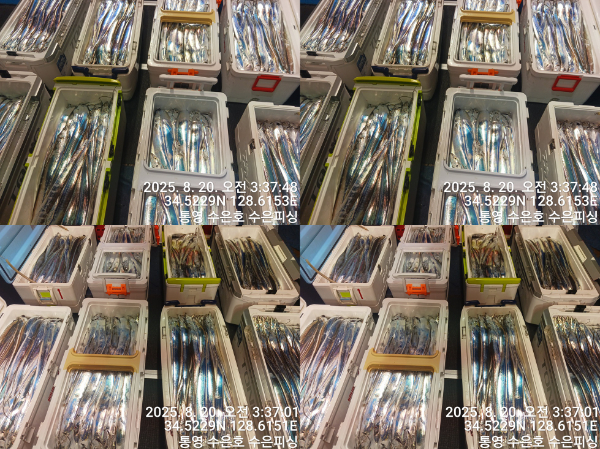 1755635893815-tile.jpg