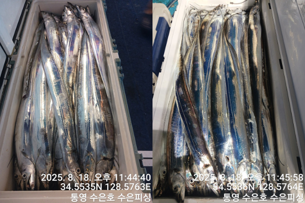 1755550102661-tile.jpg