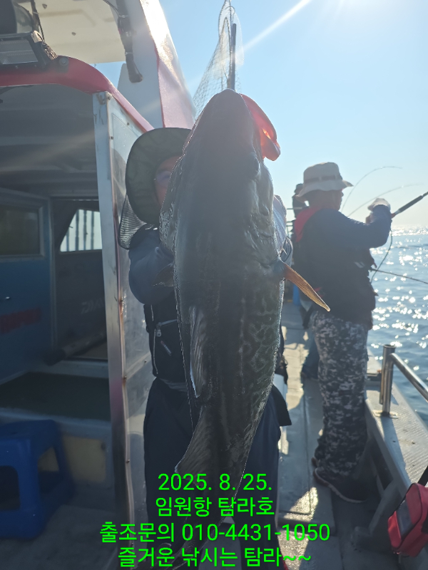 18113.jpg