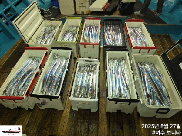 ca071be568dc04e768c205768c82de2a.jpg