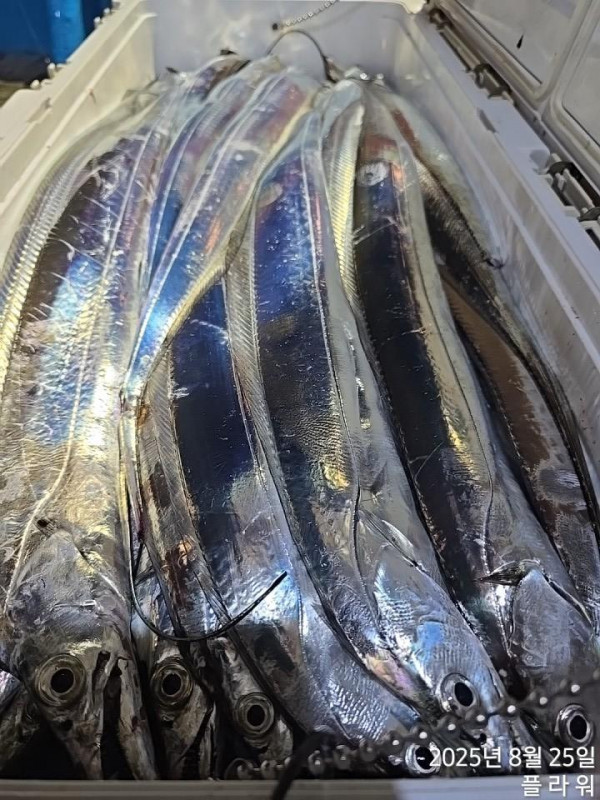 1756158090838.jpg