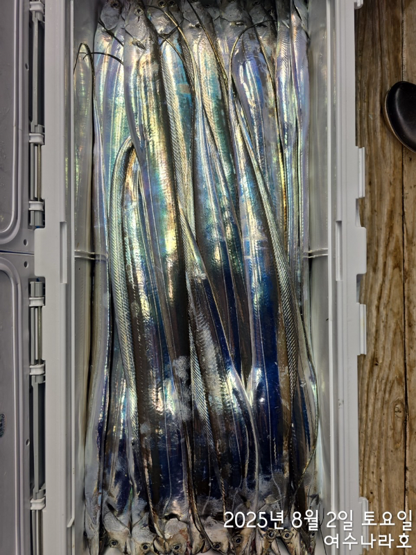 042FC1A0-2E31-4600-B49A-ED3043543244.jpeg