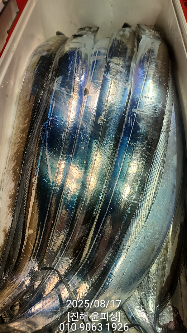 ca8f23c78e2938f8922859bba40ecbf6.jpg