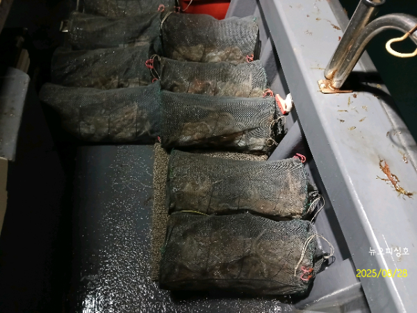 DateCamera0828071751.jpg