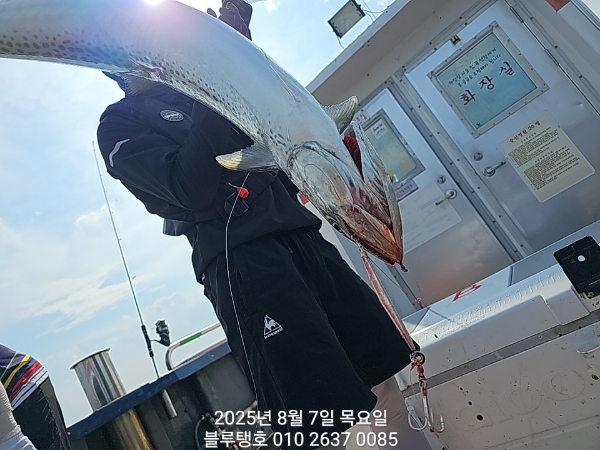 20250807_153441.jpg