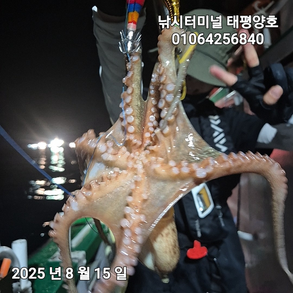 KakaoTalk_20250816_022629382_10.jpg