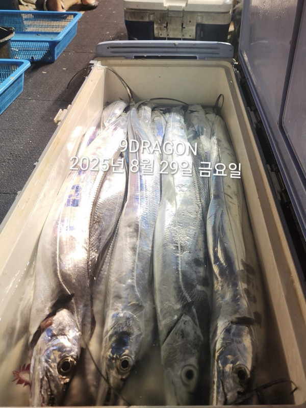 AA579859-2D5C-426C-BE4F-D455755869CC.jpeg