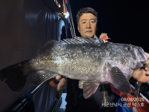 군산 선상낚시, 바다낚시 출조 전문 ☆서군산낚시☆_사진_20250809_17.jpg