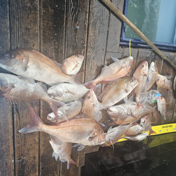 마검포 대한호(VIP)_사진_20250809_6.jpg