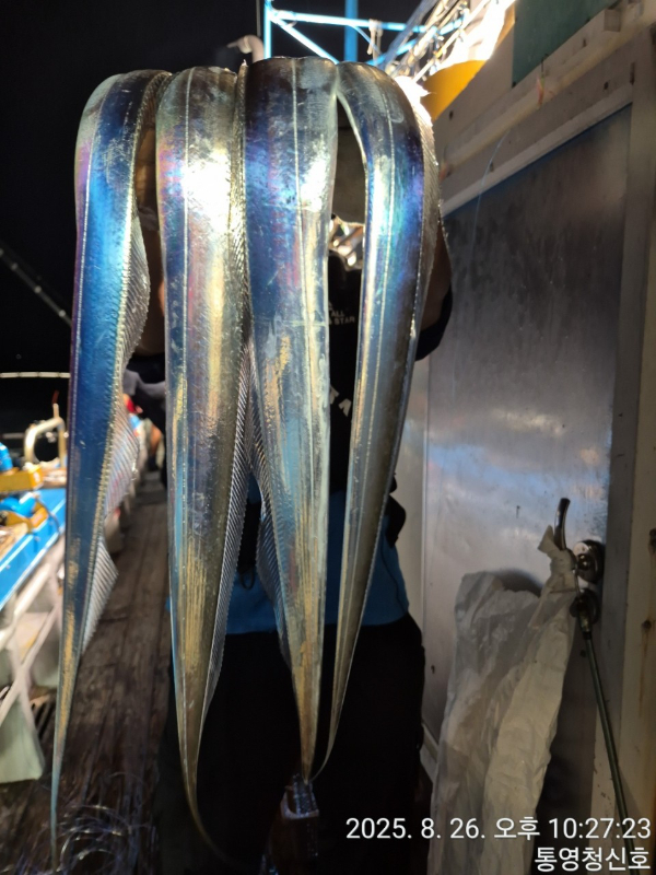 바다의 전설 부평25_사진_20250827_12.jpg