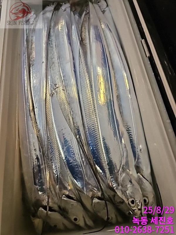KakaoTalk_20250829_071543903_10.jpg