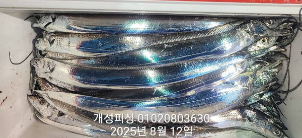 ccb20d66507f8725a10b5023875655bf.jpg