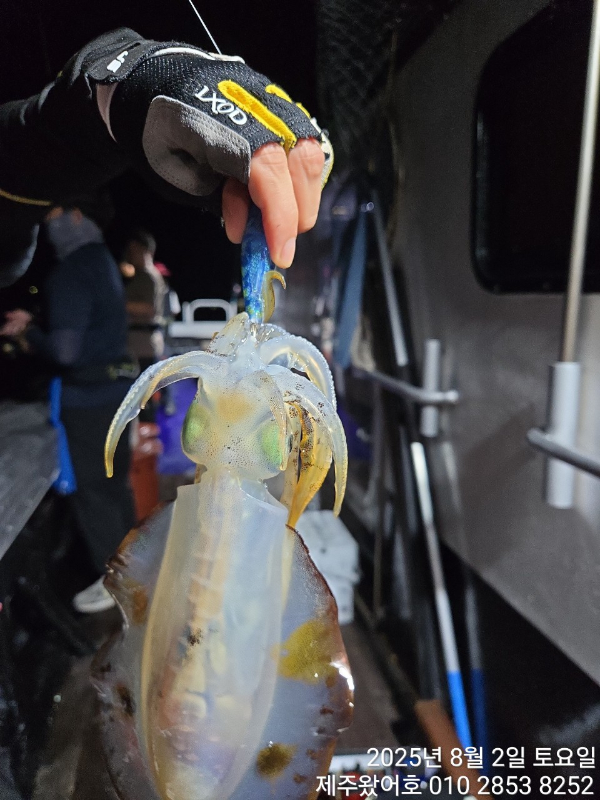 제주왔어호_사진_20250804_8.jpg