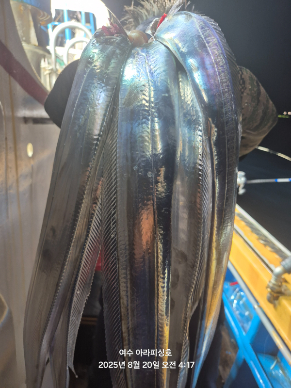 Resized_20250820_041716.jpeg