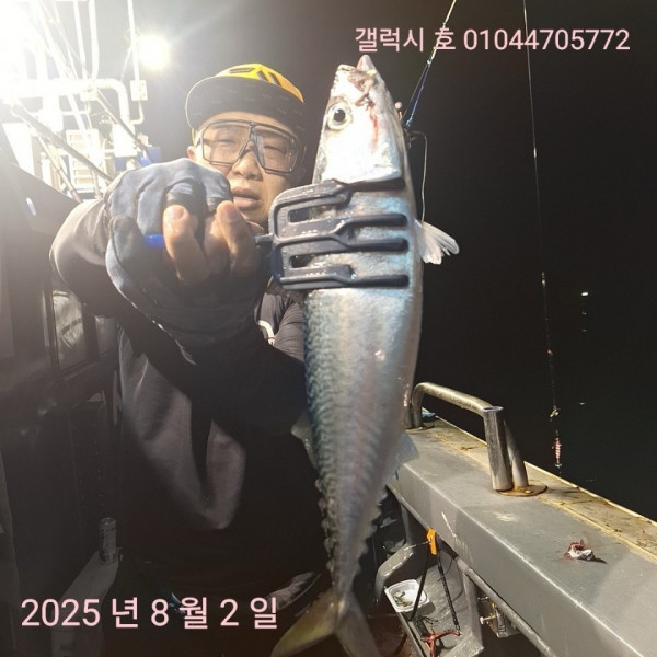 군산 선상낚시, 바다낚시 출조 전문 ☆서군산낚시☆_사진_20250803_16.jpg
