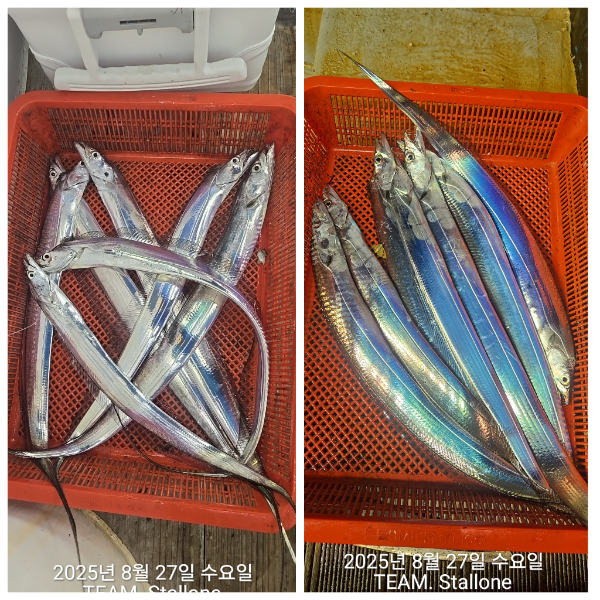 1000040014.jpg