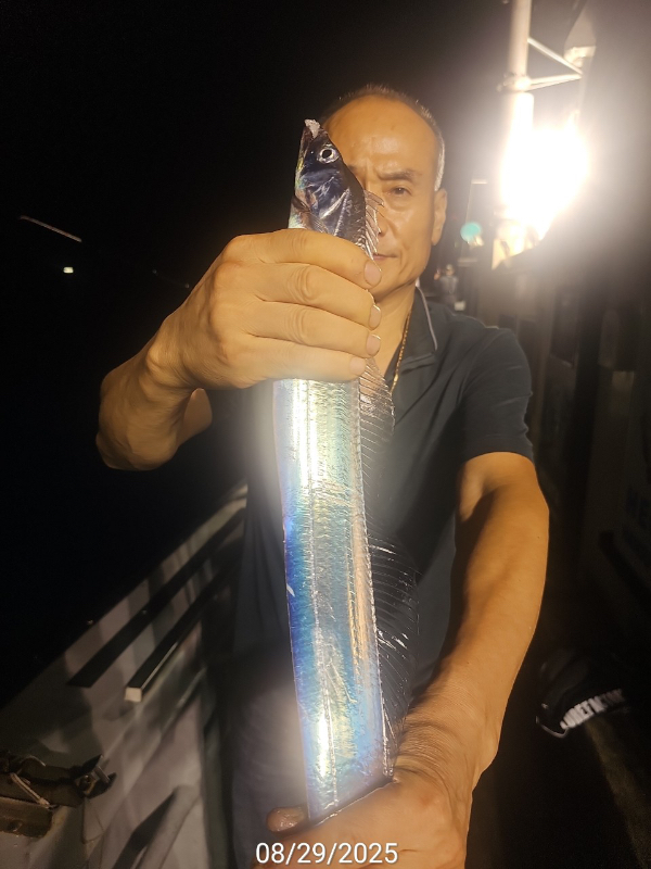 A52FF697-410D-4EC0-9E9B-E4A671D4F584.jpeg