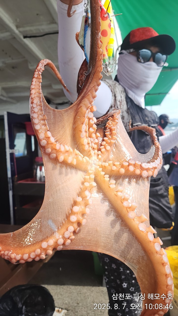 IMG20250807_100846.jpg