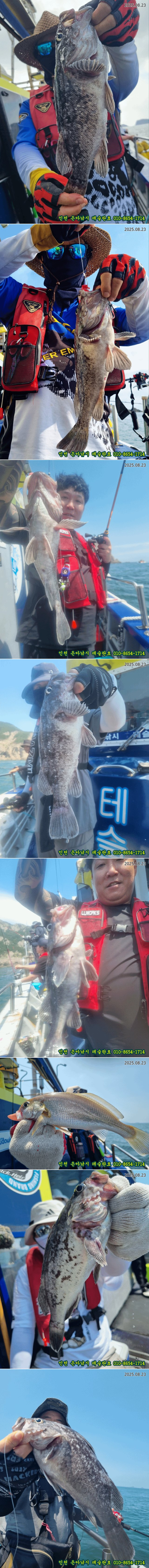 KakaoTalk_20250823_152517229_11-vert.jpg