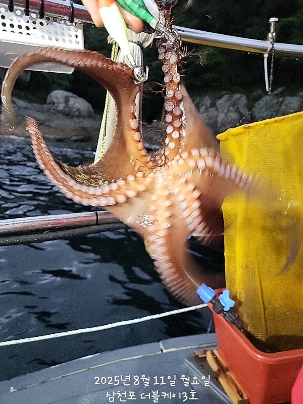 KakaoTalk_20250811_193913225.jpg