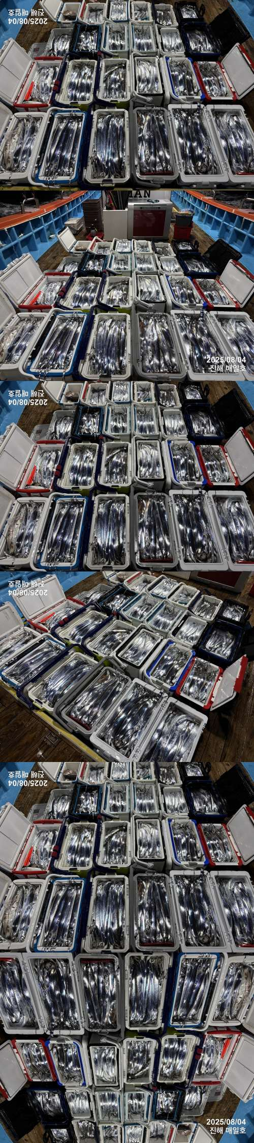 갈치4.jpg