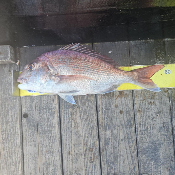 마검포 대한호(VIP)_사진_20250816_6.jpg