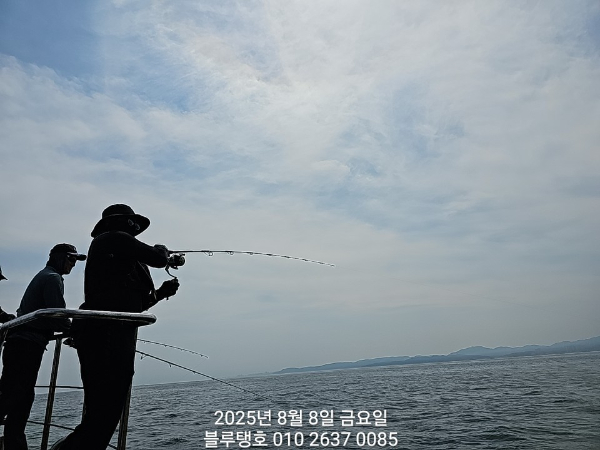 20250808_140355.jpg