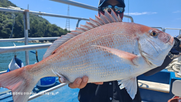 여수금강피싱_사진_20250801_17.jpg