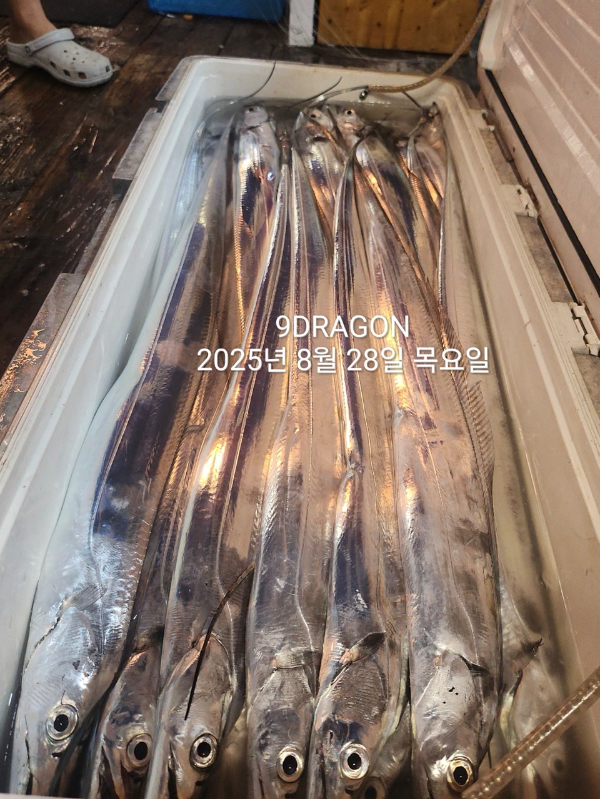 4D7414EA-923D-4E3E-B60D-70F2E6681DC4.jpeg