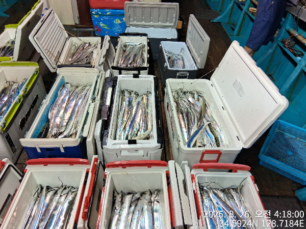 cf8817fb4613bd1619cd868d5899776f.jpg