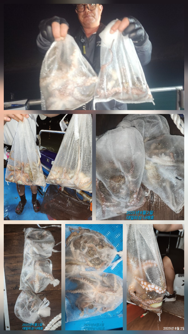 cfa45f6acefa1e8358a9a73fb26dd34b.jpg