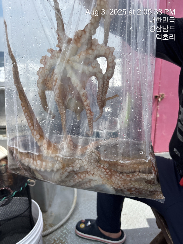 KakaoTalk_20250804_095200609_02.jpg