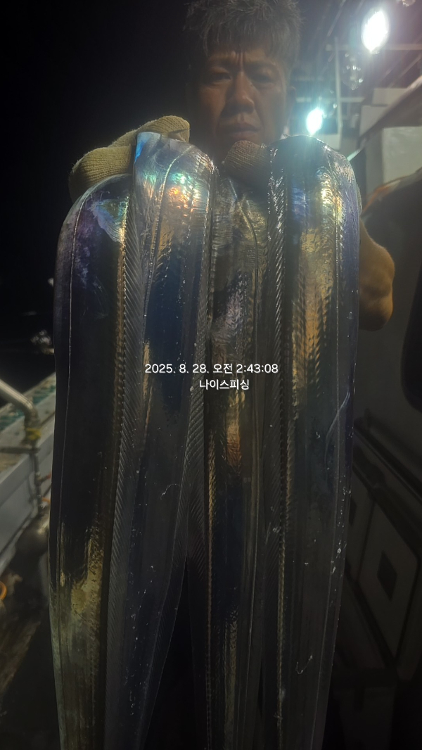 1756331000443.jpg