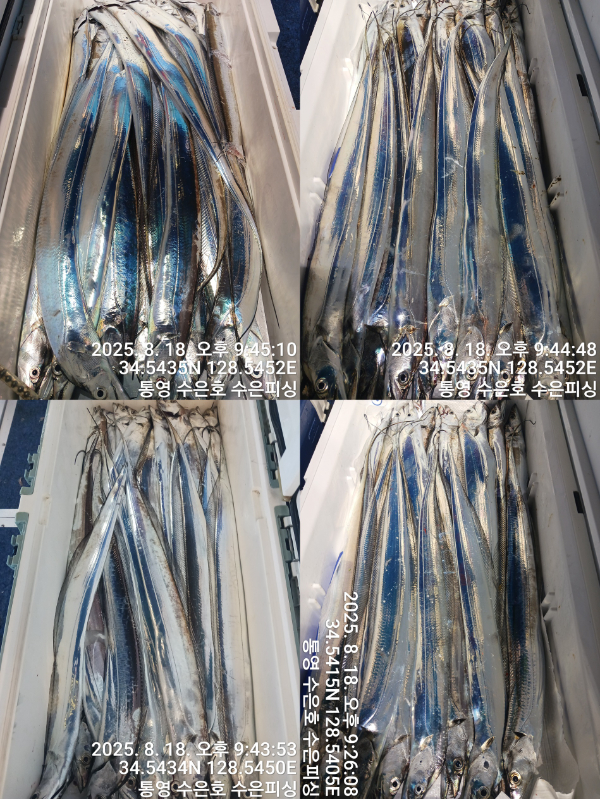 1755523111389-tile.jpg