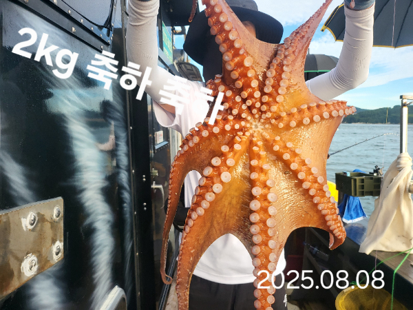 d0186fc4b55936a4515de1b19b6ca264.jpg