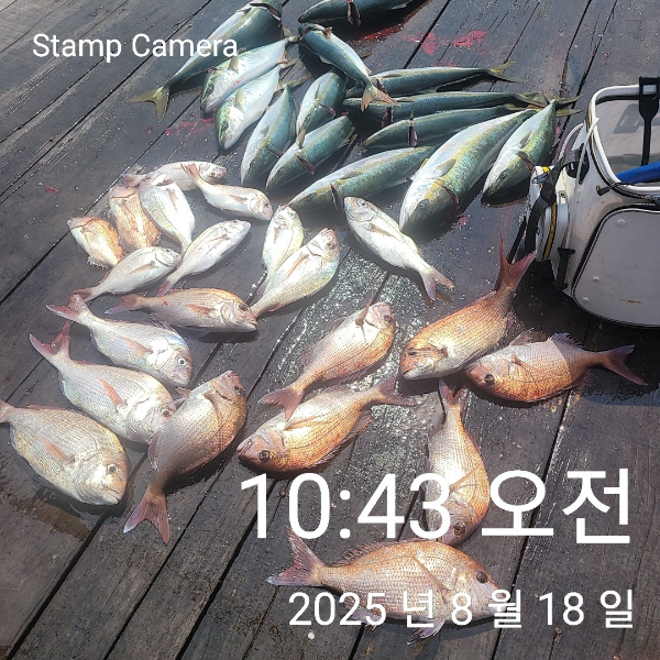 StampCamera20250818104355.jpg