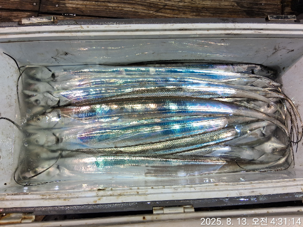 d050a4e6daf5c2a0837cc03bccae1a10.jpg