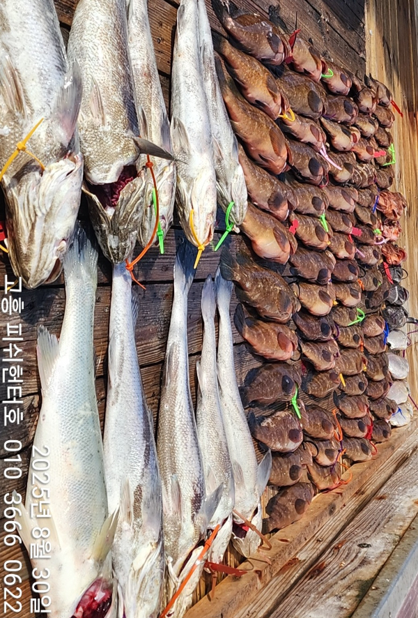 1000081562.jpg