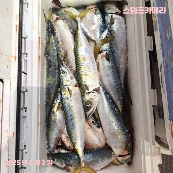 KakaoTalk_20250802_135732285_02.jpg