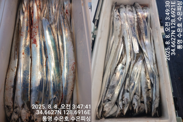 1754597691109-tile.jpg