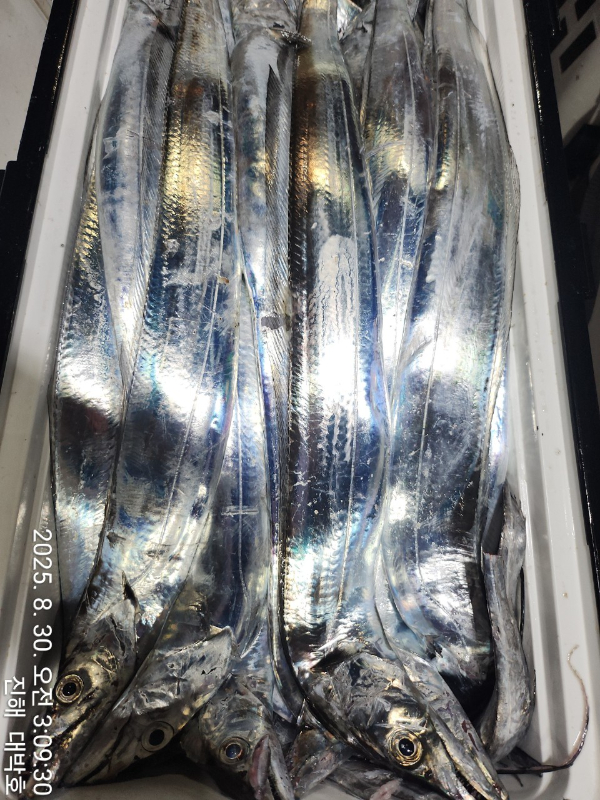 KakaoTalk_20250830_080944142_11.jpg