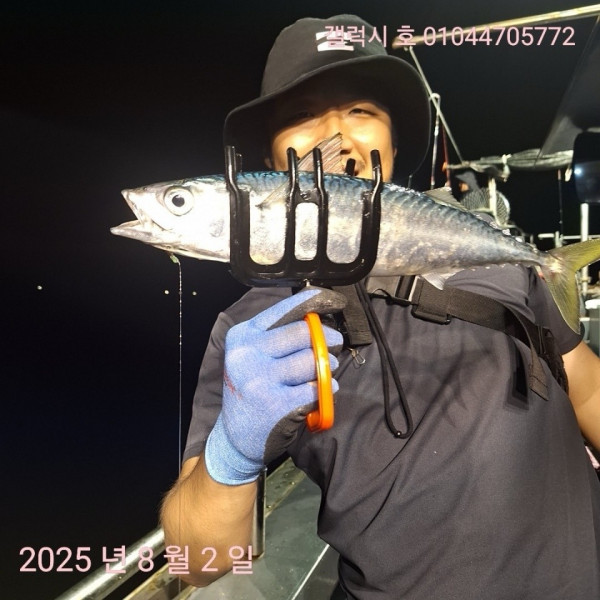 군산 선상낚시, 바다낚시 출조 전문 ☆서군산낚시☆_사진_20250803_15.jpg