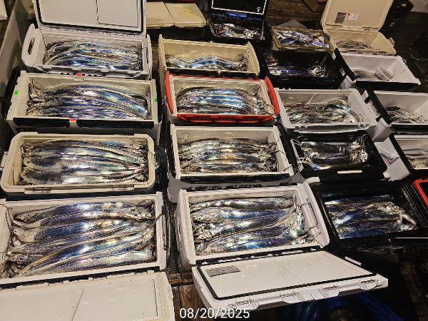 F41AB073-01D5-4222-8E70-EAA6623780D6.jpeg